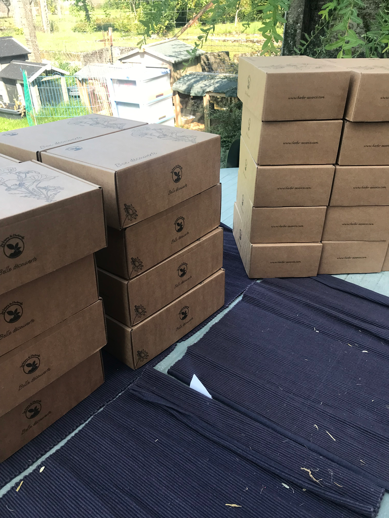 Box Découverte